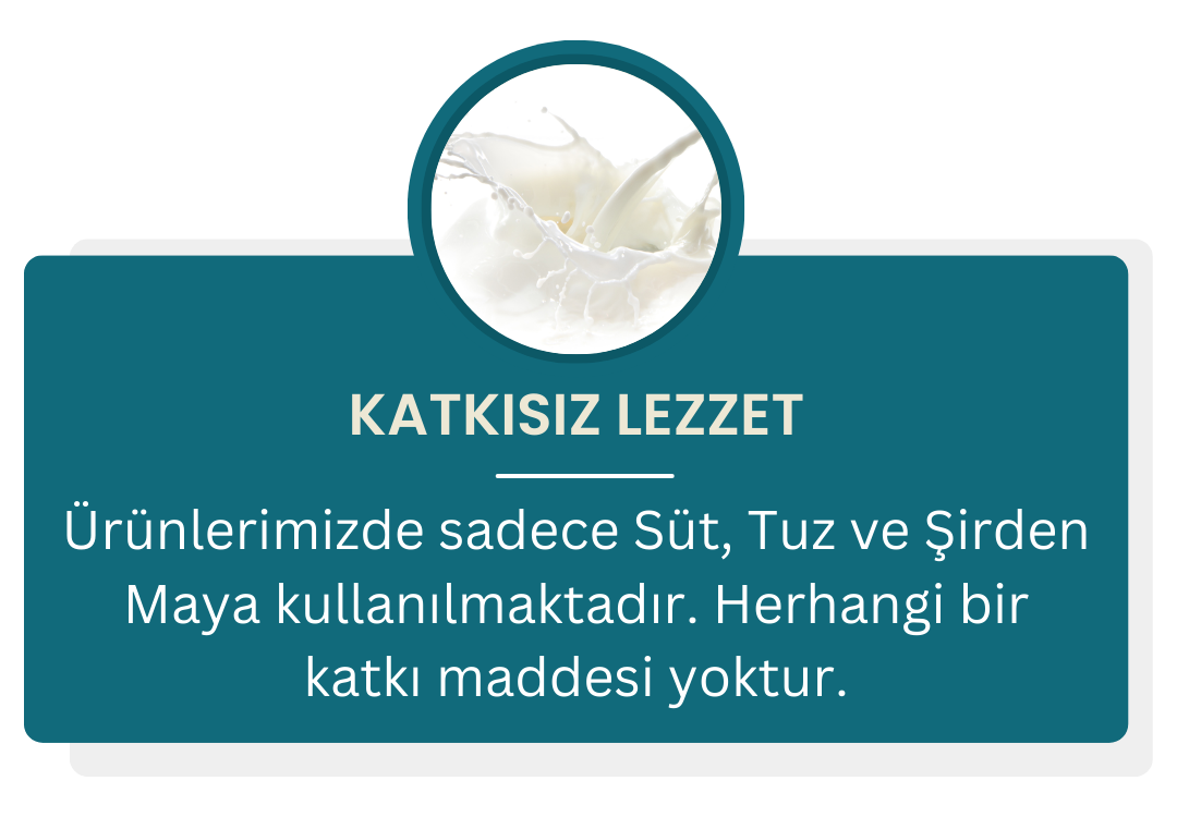 Resim 3